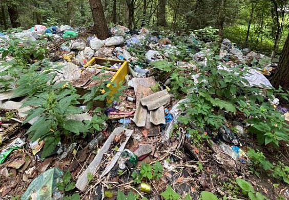 В Тейковском районе со свалки в лесу вывезли 60 кубометров отходов